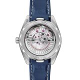 Seamaster Aqua Terra 150M 41 мм (2523) small
