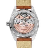 Seamaster Aqua Terra 150M Worldtimer GMT (401) small