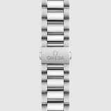 Seamaster Aqua Terra 150M 38 мм (2160) small