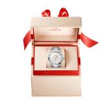 Seamaster Aqua Terra 150M 38 мм (2164) small