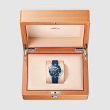 Seamaster Diver 300M 42 мм (2136) small