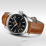 Seamaster Aqua Terra 150M Master Co-Axial Chronometer (408) small