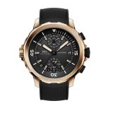 Aquatimer Chronograph Edition  Expedition Charles Darwin small