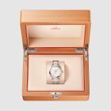 Seamaster Aqua Terra 150M 41 мм (2143) small