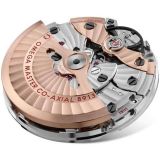 Seamaster 300 Master Co-Axial Chronometer Crystal Group Edition (413) small