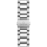 Seamaster Aqua Terra 150M 38 мм (2163) small