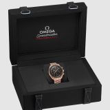 Speedmaster Moonwatch Professional 42mm (2086) small