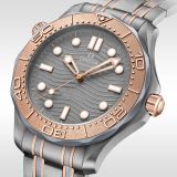 Seamaster Diver 300 OMEGA CO-AXIAL MASTER CHRONOMETER 42 MM (362) small