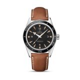 Годинник Seamaster 300 Master Co-Axial 41 mm small