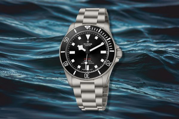 Стильний та компактний Tudor Pelagos 39