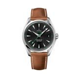Seamaster Aqua Terra 150M 41,5 мм small