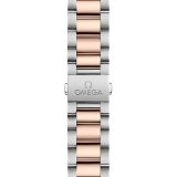 Seamaster Aqua Terra 150M 41 мм (2141) small