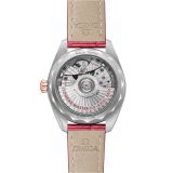 Seamaster Aqua Terra 150M 34 мм (2167) small