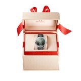 Seamaster Aqua Terra 150M 38 мм (2166) small