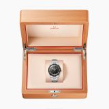 Seamaster 300 (1872) small