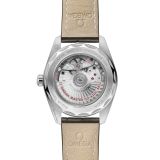 Seamaster Aqua Terra 150M 38 мм (2165) small