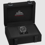 Speedmaster Moonwatch Professional 42mm (2076) small