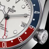 Black Bay GMT (2586) small