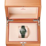 Seamaster Diver 300M (1865) small
