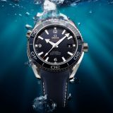 Seamaster Planet Ocean 600M Co-Axial Chronometer (140) small